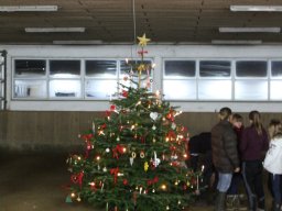 2014 Juletræspyntning